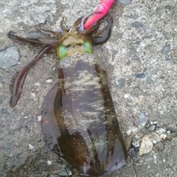 どこいったん？